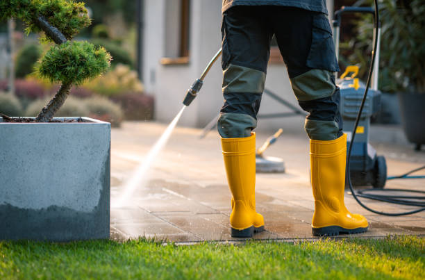 Best House Pressure Washing  in Gman, IL